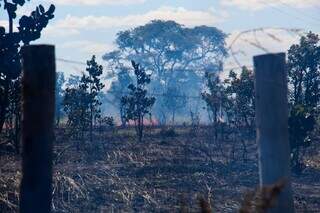 Fogo em carreta se espalha por vegeta&ccedil;&atilde;o e bombeiros ainda tentam conter chamas 