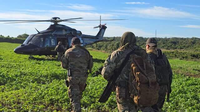 Opera&ccedil;&atilde;o binacional termina com destrui&ccedil;&atilde;o de 809 toneladas de maconha
