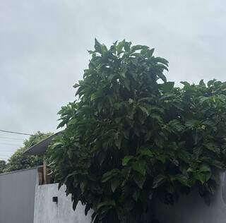 Madrugada muda tempo no interior, com chuva e 12&ordm;C