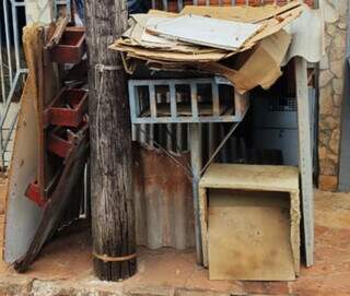 Vizinhos denunciam "casa de gatos" em cal&ccedil;ada no Lar do Trabalhador