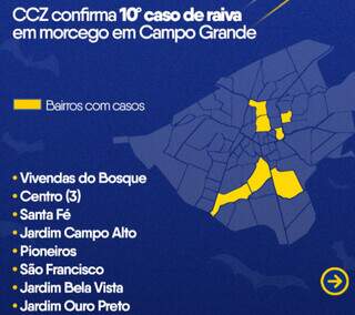 Campo Grande registra 10&deg; caso de raiva em morcego, o segundo da semana
