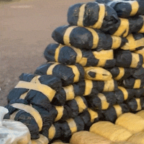 GOI apreendeu 880 kg de droga e prendeu foragido em casa no Lageado