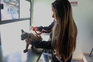 Pets ter&atilde;o atendimento gratuito na Pra&ccedil;a do Papa a partir de segunda-feira