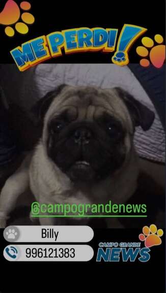 Campo Grande News