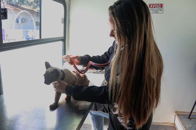 Pets ter&atilde;o atendimento gratuito na Pra&ccedil;a do Papa a partir de segunda-feira