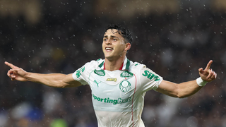 Remo segura empate com Palmeiras ap&oacute;s gol anulado no fim do jogo