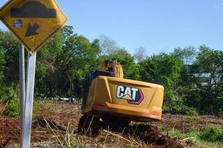 Leucena resiste, rebrota e desafia opera&ccedil;&atilde;o ambiental em &aacute;reas verdes da Capital