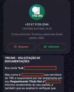 Contato do TRE-MS por WhatsApp n&atilde;o &eacute; golpe, mas eleitores devem ficar atentos