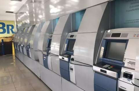 Novo investimento do Tesouro permite aplicar dinheiro a partir de R$ 1