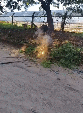 Morador flagra fio de alta tens&atilde;o em chamas na Ch&aacute;cara dos Poderes