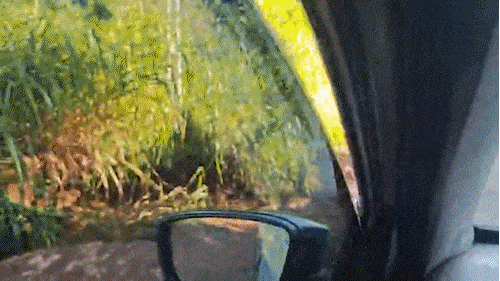 Morador denuncia eros&otilde;es e dificuldade para trafegar na Estrada NE-2 ap&oacute;s chuva