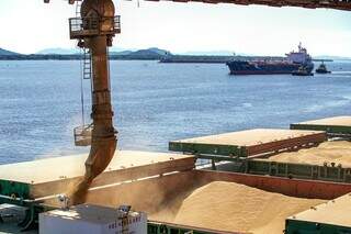 Exportações de MS avançam e superávit comercial chega a US$ 2,7 bilhões Exportações de MS avançam e superávit comercial chega a US$ 2,7 bilhões