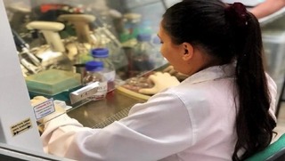 Centelha MS prorroga inscrições para projetos inovadores até 25 de maio Centelha MS prorroga inscrições para projetos inovadores até 25 de maio