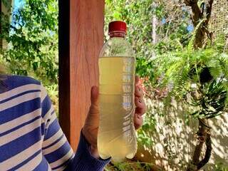 Com medo de contaminação? Aprenda a fazer detergente natural Com medo de contaminação? Aprenda a fazer detergente natural
