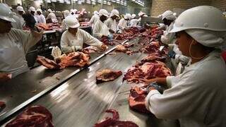 Europa muda regras sanitárias para importação e carne brasileira fica de fora Europa muda regras sanitárias para importação e carne brasileira fica de fora