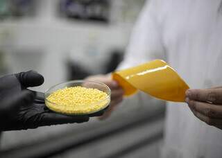 Revestimento com &oacute;leo de mamona faz fertilizante render mais e poluir menos