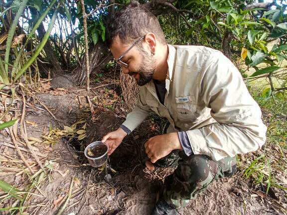 Tocas de tatu-canastra viram ref&uacute;gio para r&atilde;s durante seca no Pantanal