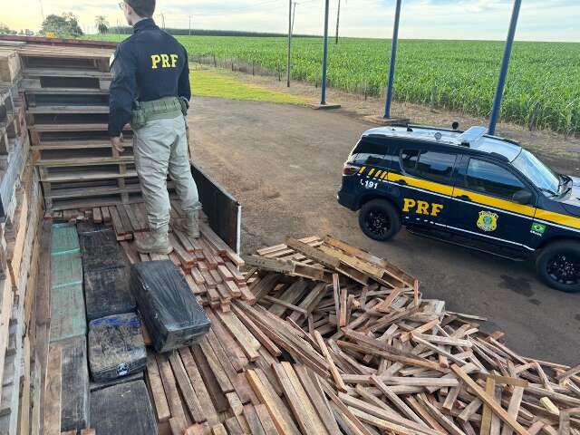 C&atilde;es encontram 1,1 tonelada de maconha escondida em carreta