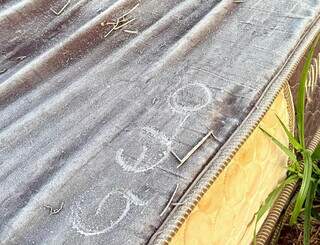 Leve geada cobre lavoura de milho e atinge 6 municípios de MS Leve geada cobre lavoura de milho e atinge 6 municípios de MS