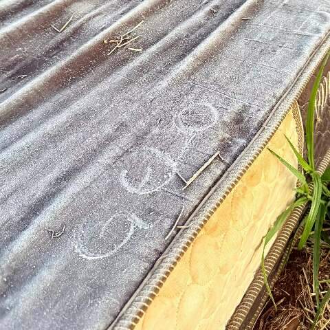 Leve geada cobre lavoura de milho e atinge 6 munic&iacute;pios de MS