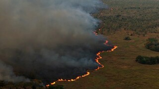MS teve mais de 1 milhão de hectares em cicatrizes de megaincêndios MS teve mais de 1 milhão de hectares em cicatrizes de megaincêndios