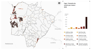 MS teve mais de 1 milhão de hectares em cicatrizes de megaincêndios MS teve mais de 1 milhão de hectares em cicatrizes de megaincêndios