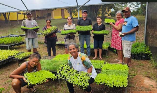 Mulheres recuperam nascentes e produzem alimentos em Nioaque