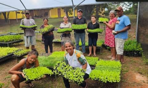 Mulheres recuperam nascentes e produzem alimentos em Nioaque