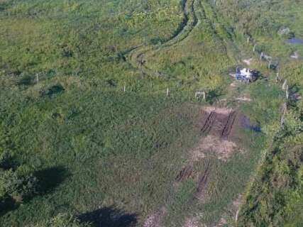 &Aacute;rea no Pantanal &eacute; desmatada e empresa agropecu&aacute;ria recebe multa de R$ 105 mil