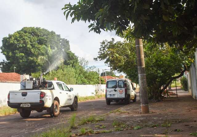 Fumac&ecirc; refor&ccedil;a combate &agrave; dengue em 8 bairros de Campo Grande nesta quinta