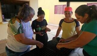 Mulheres recuperam áreas degradadas com alimentos e fazem água voltar no Cerrado Mulheres recuperam áreas degradadas com alimentos e fazem água voltar no Cerrado