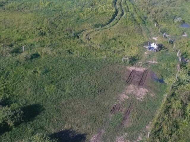&Aacute;rea no Pantanal &eacute; desmatada e empresa agropecu&aacute;ria recebe multa de R$ 105 mil