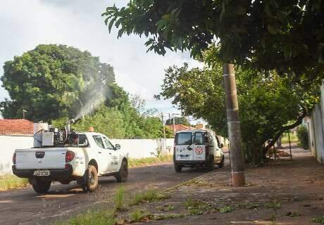 Fumac&ecirc; refor&ccedil;a combate &agrave; dengue em 8 bairros de Campo Grande nesta quinta