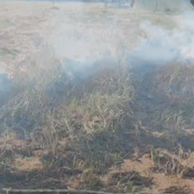 Fuma&ccedil;a de inc&ecirc;ndio em vegeta&ccedil;&atilde;o encobre casas na Ch&aacute;cara das Mans&otilde;es