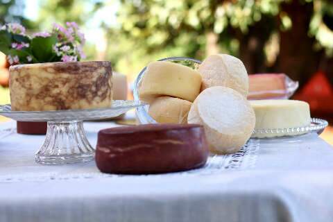 Do leite ao pr&ecirc;mio, queijo artesanal impulsiona renda no interior de MS