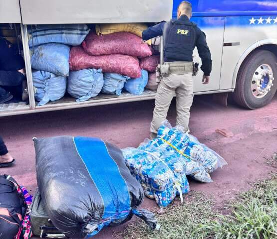 Opera&ccedil;&atilde;o apreende 4 toneladas de mercadorias irregulares e coca&iacute;na 