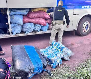 Opera&ccedil;&atilde;o apreende 4 toneladas de mercadorias irregulares e coca&iacute;na 