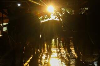 El Ni&ntilde;o com 92% de chance preocupa MS com risco ao agro e ao Pantanal
