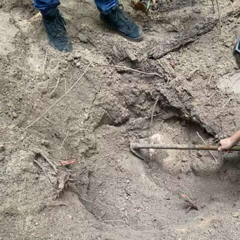 Pol&iacute;cia indicia 6 por morte de jovens de MS em &ldquo;tribunal do crime&rdquo; no MT