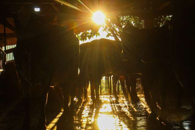 El Ni&ntilde;o com 92% de chance preocupa MS com risco ao agro e ao Pantanal
