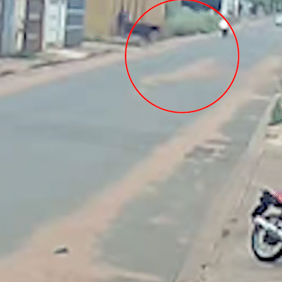 Vaca solta no Jardim Los Angeles atravessa a rua e "atropela" motociclista