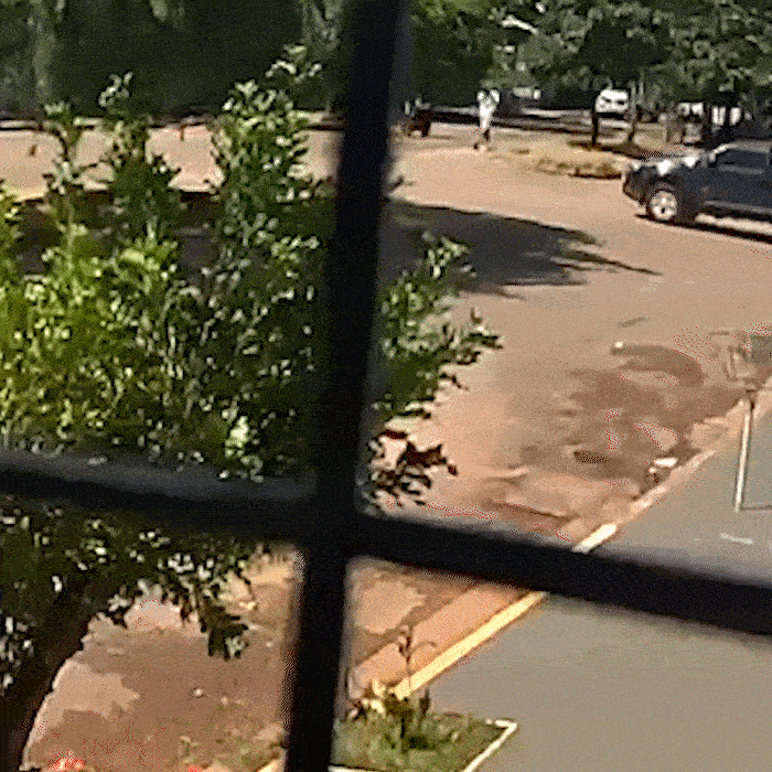 Motociclista morre com rompimento craniano ap&oacute;s colis&atilde;o no Jardim Col&uacute;mbia