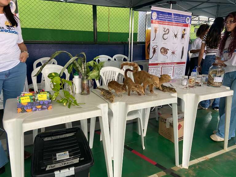 Campo Grande News