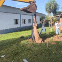 V&iacute;deo mostra bombeiros retirando vaca de fossa em propriedade rural
