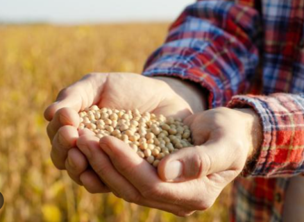 Agropecu&aacute;ria de MS deve ter o 7&ordm; maior faturamento do Brasil em 2026