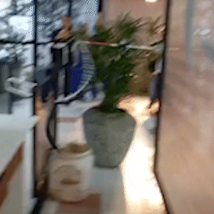 &ldquo;Recebemos uma visitinha&rdquo;: cobra &eacute; encontrada embaixo de cadeira no TCE