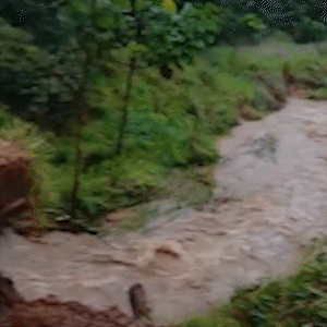 Chuva derruba acesso &agrave; ponte e prefeitura avalia emerg&ecirc;ncia em Anauril&acirc;ndia