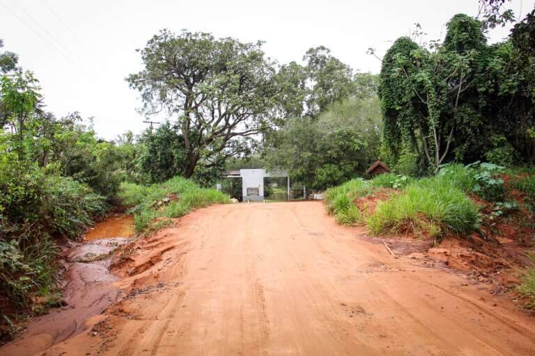 Campo Grande News