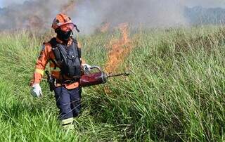 Com risco de super El Ni&ntilde;o, Bombeiros refor&ccedil;am plano contra inc&ecirc;ndios em MS