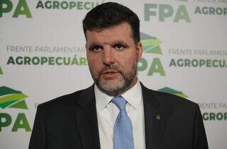 Tilápia puxa lista de prioridades do agro no Congresso antes de trava eleitoral Tilápia puxa lista de prioridades do agro no Congresso antes de trava eleitoral